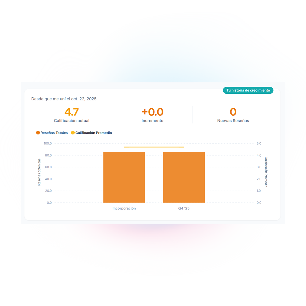 Herramienta de seo local para consultores